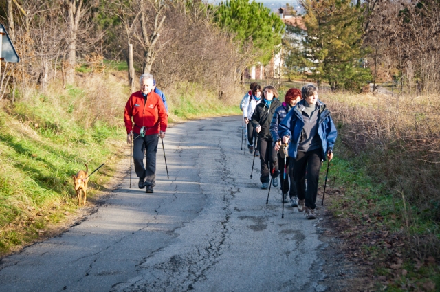  nordic walking 